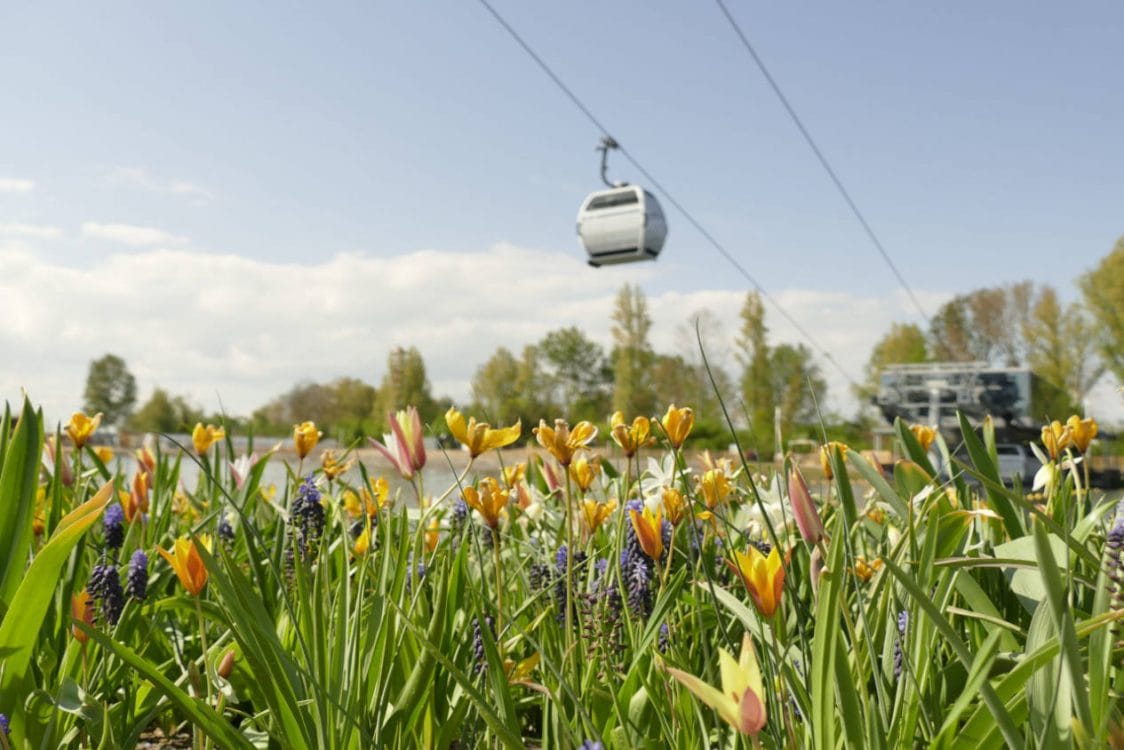 Met de kabelbaan kun je een 'rondrit' boven de Floriade maken