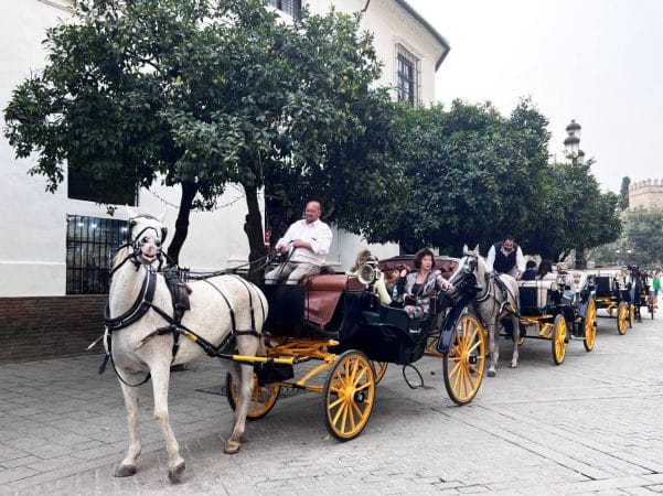 Koetsjes in Sevilla