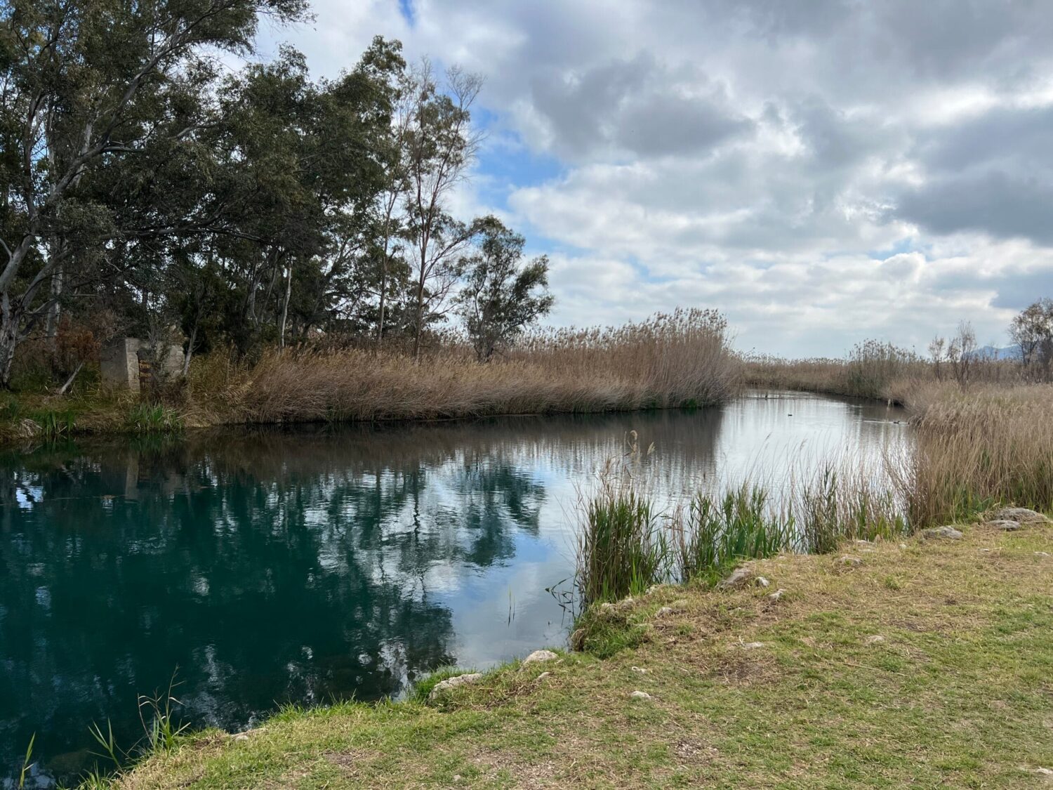 Parque Natural de la Marjal Pego-Oliva.