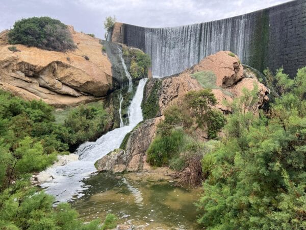 El Pantano de Elche