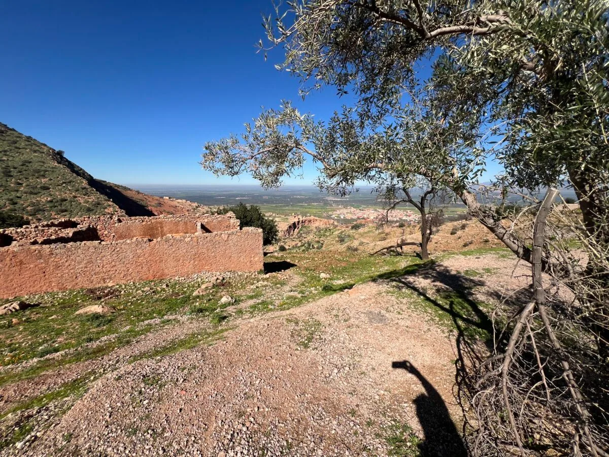 On the Road to Ouzoud.