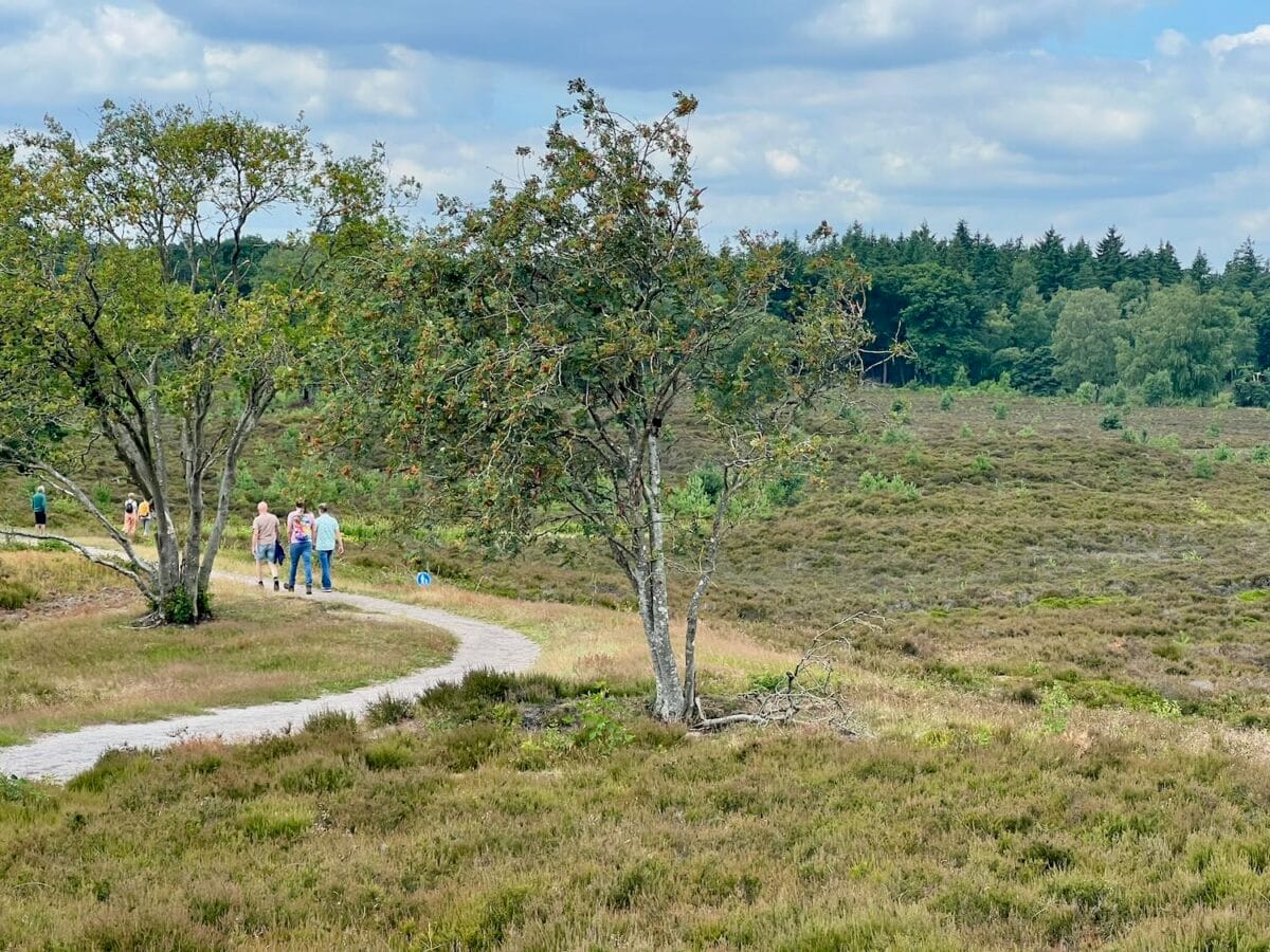 De Renderklippen, glooiende stuwwallen, 160.000 jaar geleden ontstaan.