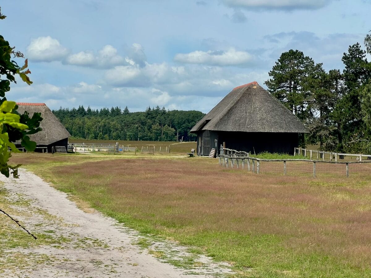 Schaapskooi in Heerde.
