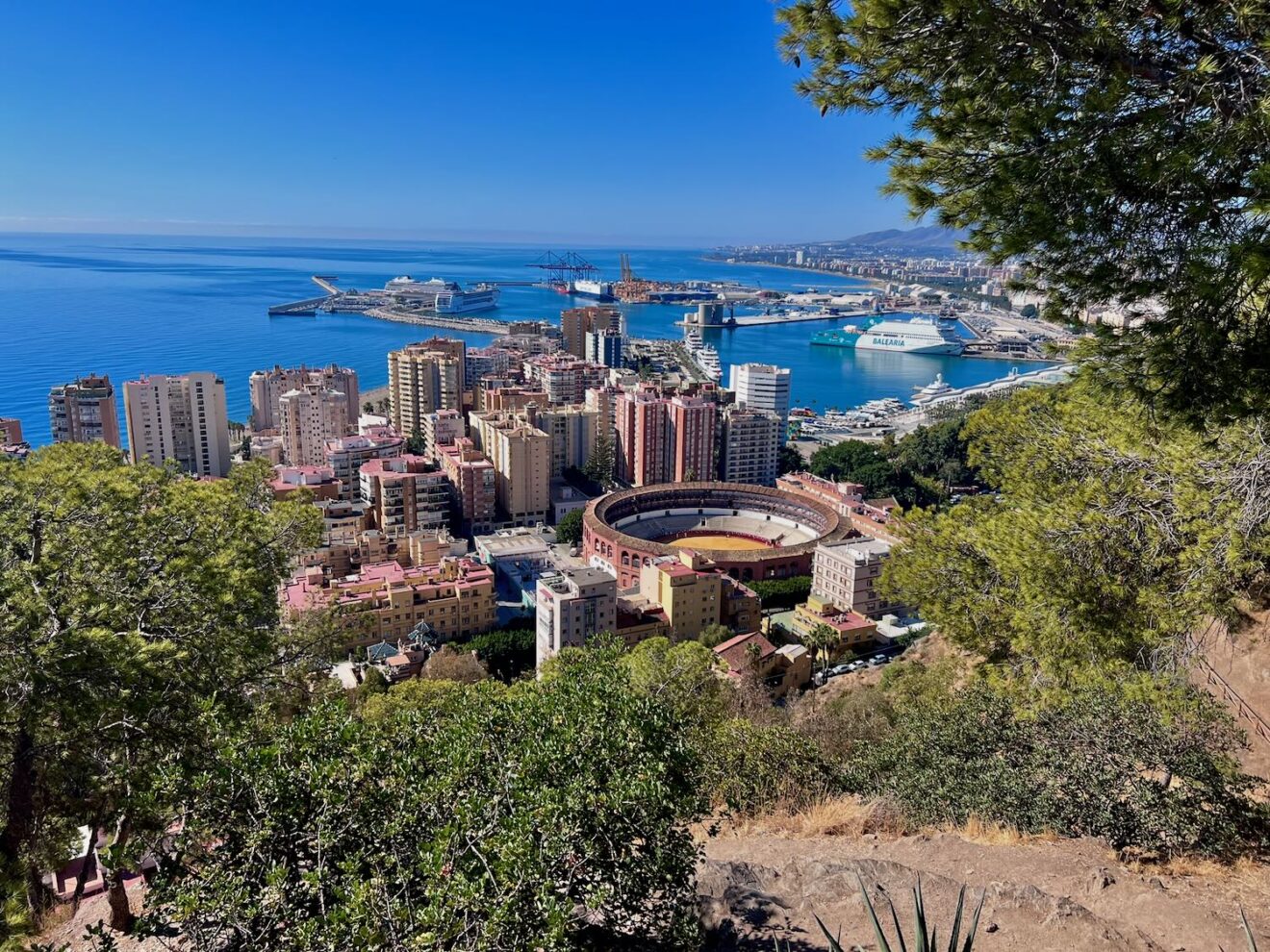 Parque forestal de Gibralfaro in Málaga.